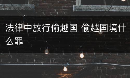 法律中放行偷越国 偷越国境什么罪