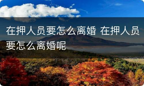 在押人员要怎么离婚 在押人员要怎么离婚呢