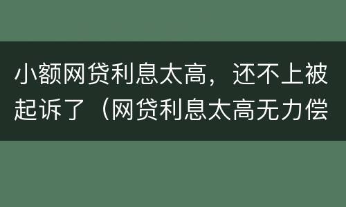 小额网贷利息太高，还不上被起诉了（网贷利息太高无力偿还）