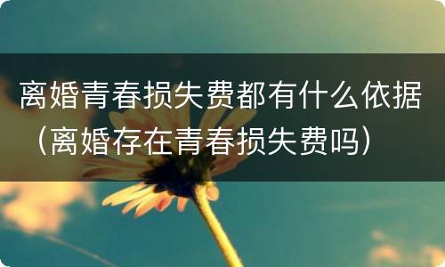 离婚青春损失费都有什么依据（离婚存在青春损失费吗）