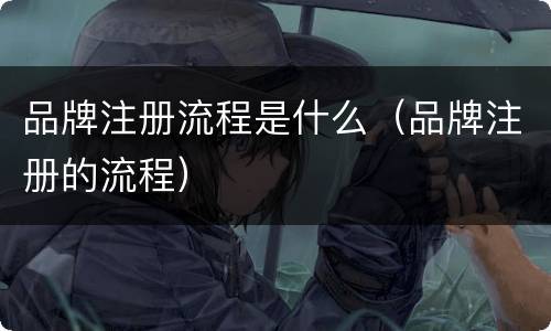 品牌注册流程是什么（品牌注册的流程）