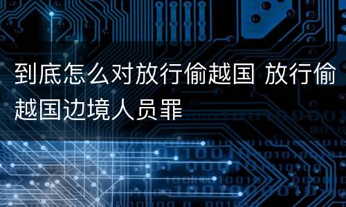 到底怎么对放行偷越国 放行偷越国边境人员罪