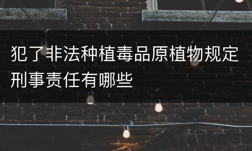 犯了非法种植毒品原植物规定刑事责任有哪些