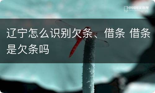 辽宁怎么识别欠条、借条 借条是欠条吗