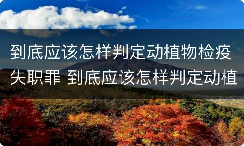 到底应该怎样判定动植物检疫失职罪 到底应该怎样判定动植物检疫失职罪行