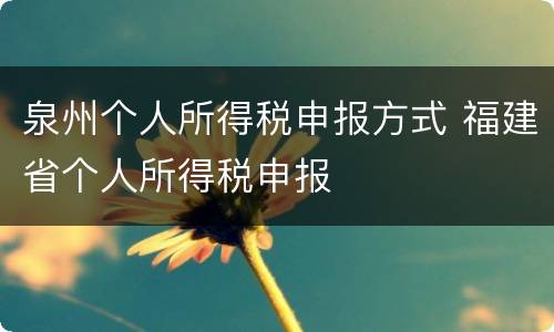 泉州个人所得税申报方式 福建省个人所得税申报