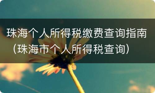 珠海个人所得税缴费查询指南（珠海市个人所得税查询）