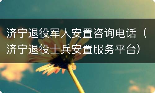 济宁退役军人安置咨询电话（济宁退役士兵安置服务平台）