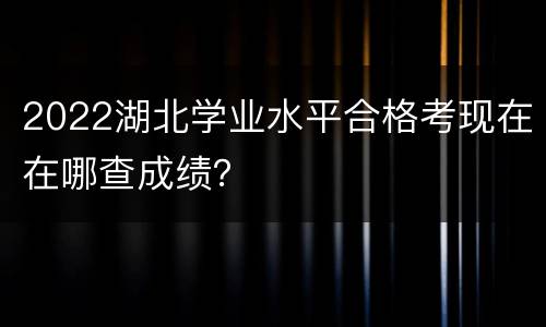2022湖北学业水平合格考现在在哪查成绩？