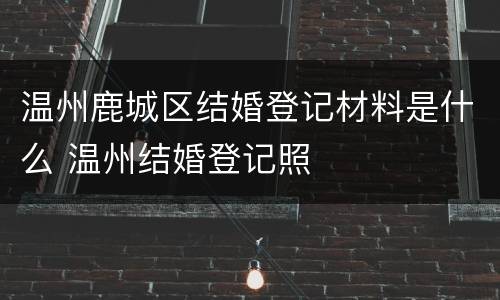 温州鹿城区结婚登记材料是什么 温州结婚登记照