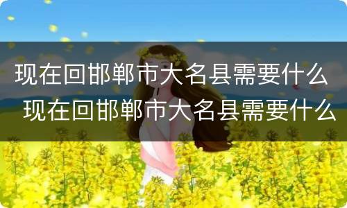 现在回邯郸市大名县需要什么 现在回邯郸市大名县需要什么手续