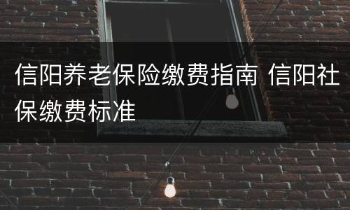 信阳养老保险缴费指南 信阳社保缴费标准