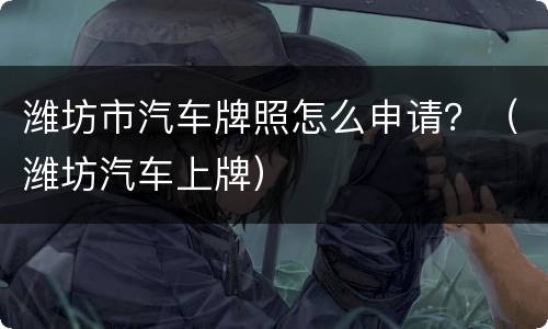 潍坊市汽车牌照怎么申请？（潍坊汽车上牌）