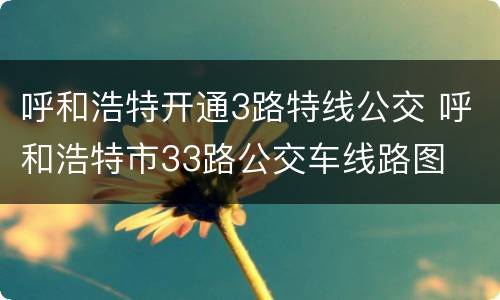 呼和浩特开通3路特线公交 呼和浩特市33路公交车线路图