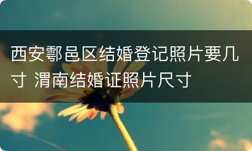 西安鄠邑区结婚登记照片要几寸 渭南结婚证照片尺寸