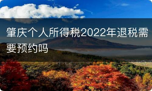 肇庆个人所得税2022年退税需要预约吗