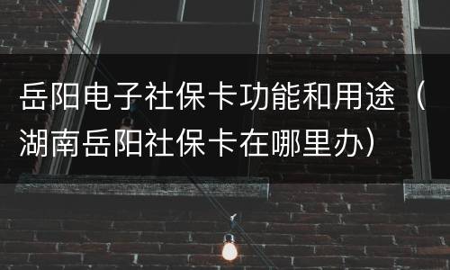 岳阳电子社保卡功能和用途（湖南岳阳社保卡在哪里办）
