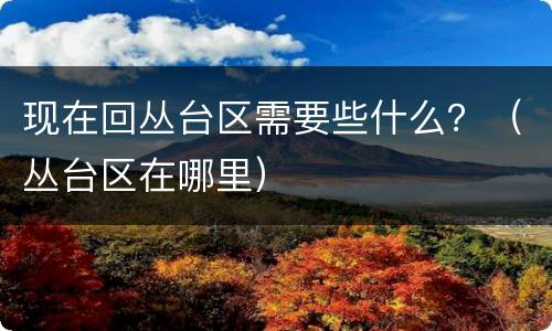 现在回丛台区需要些什么？（丛台区在哪里）