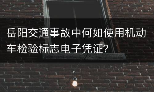 岳阳交通事故中何如使用机动车检验标志电子凭证？