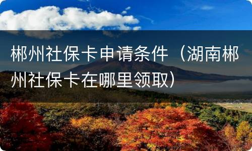 郴州社保卡申请条件（湖南郴州社保卡在哪里领取）