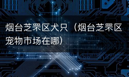 烟台芝罘区犬只（烟台芝罘区宠物市场在哪）