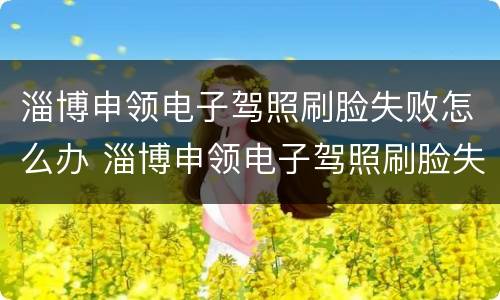 淄博申领电子驾照刷脸失败怎么办 淄博申领电子驾照刷脸失败怎么办理