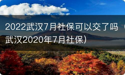 2022武汉7月社保可以交了吗（武汉2020年7月社保）
