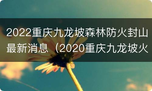 2022重庆九龙坡森林防火封山最新消息（2020重庆九龙坡火灾）