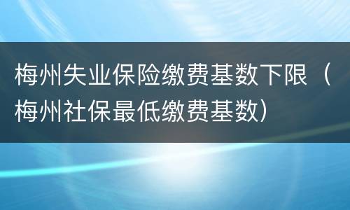梅州失业保险缴费基数下限（梅州社保最低缴费基数）