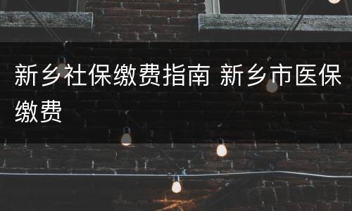 新乡社保缴费指南 新乡市医保缴费