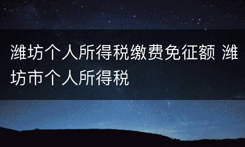 潍坊个人所得税缴费免征额 潍坊市个人所得税