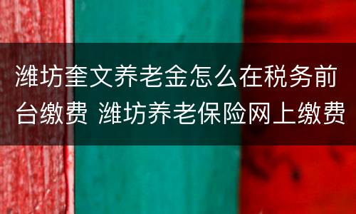 潍坊奎文养老金怎么在税务前台缴费 潍坊养老保险网上缴费