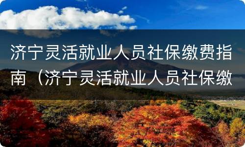 济宁灵活就业人员社保缴费指南（济宁灵活就业人员社保缴费指南电子版）