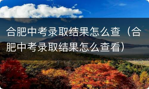 合肥中考录取结果怎么查（合肥中考录取结果怎么查看）