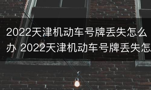 2022天津机动车号牌丢失怎么办 2022天津机动车号牌丢失怎么办啊