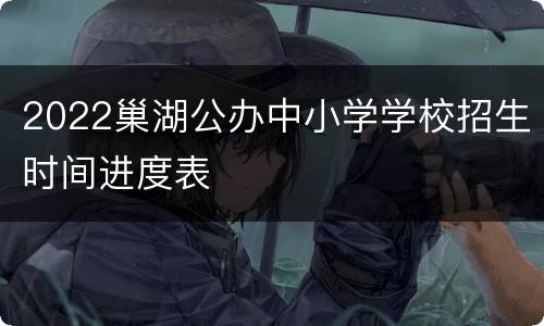 2022巢湖公办中小学学校招生时间进度表
