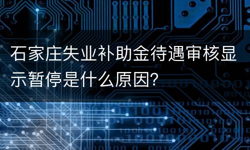 石家庄失业补助金待遇审核显示暂停是什么原因？
