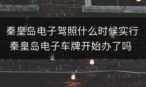 秦皇岛电子驾照什么时候实行 秦皇岛电子车牌开始办了吗