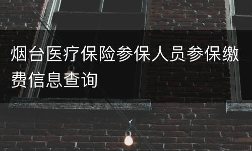 烟台医疗保险参保人员参保缴费信息查询