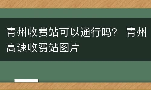 青州收费站可以通行吗？ 青州高速收费站图片