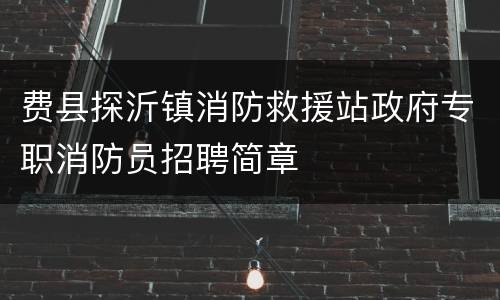费县探沂镇消防救援站政府专职消防员招聘简章