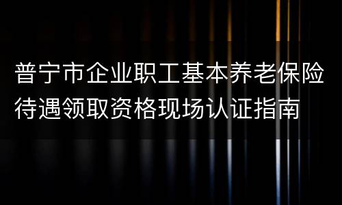 普宁市企业职工基本养老保险待遇领取资格现场认证指南