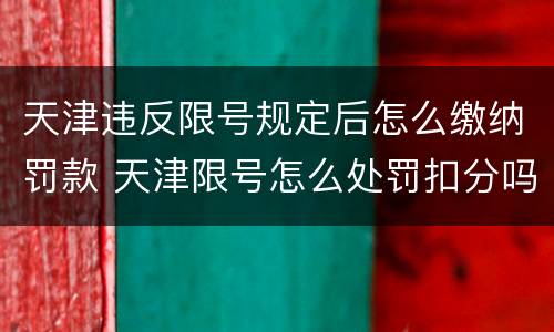 天津违反限号规定后怎么缴纳罚款 天津限号怎么处罚扣分吗