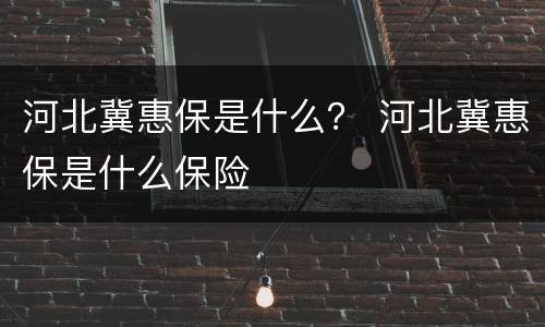 河北冀惠保是什么？ 河北冀惠保是什么保险