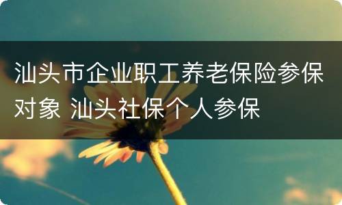 汕头市企业职工养老保险参保对象 汕头社保个人参保