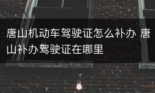 唐山机动车驾驶证怎么补办 唐山补办驾驶证在哪里
