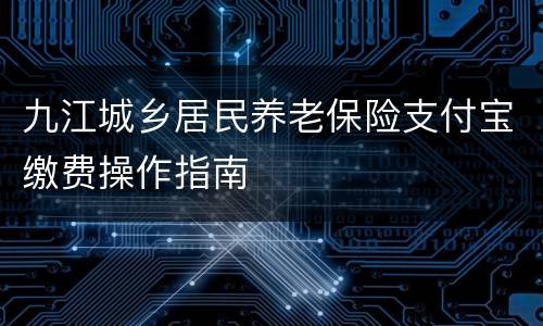 九江城乡居民养老保险支付宝缴费操作指南