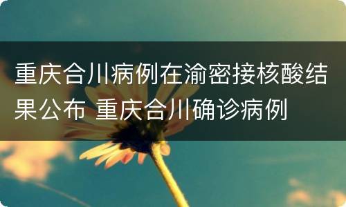 重庆合川病例在渝密接核酸结果公布 重庆合川确诊病例