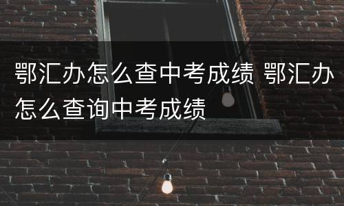 鄂汇办怎么查中考成绩 鄂汇办怎么查询中考成绩
