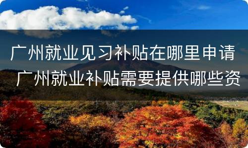 广州就业见习补贴在哪里申请 广州就业补贴需要提供哪些资料